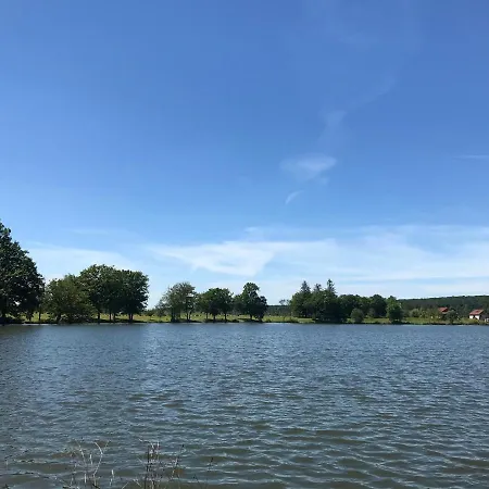 Hébergement de vacances Les Chalets Du Lac Passavant-la-Rochère