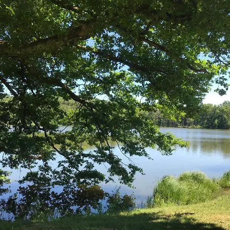 Hébergement de vacances Les Chalets Du Lac Passavant-la-Rochère