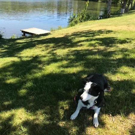 Les Chalets Du Lac Hébergement de vacances Passavant-la-Rochère