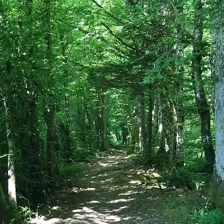 Les Chalets Du Lac Hébergement de vacances Passavant-la-Rochère